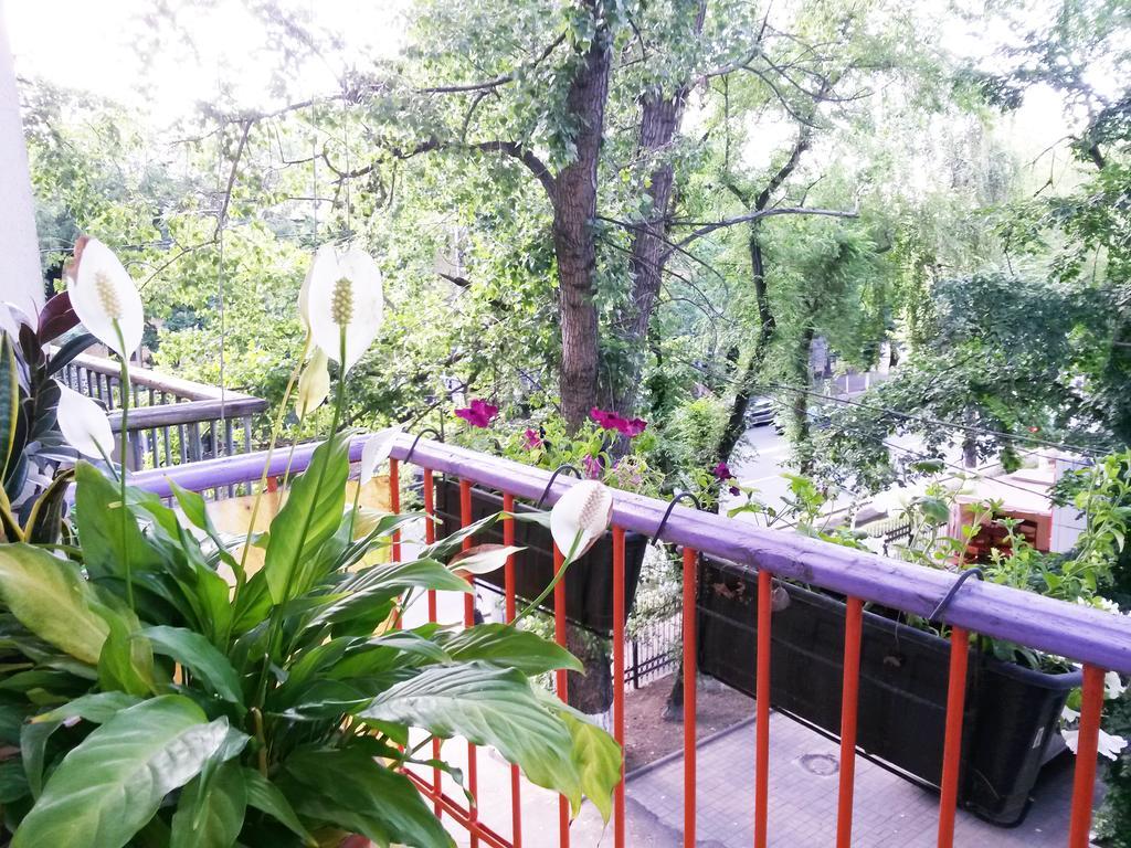 "В Центре Города" Квартира - "Downtown" Apartment Almaty Exteriér fotografie